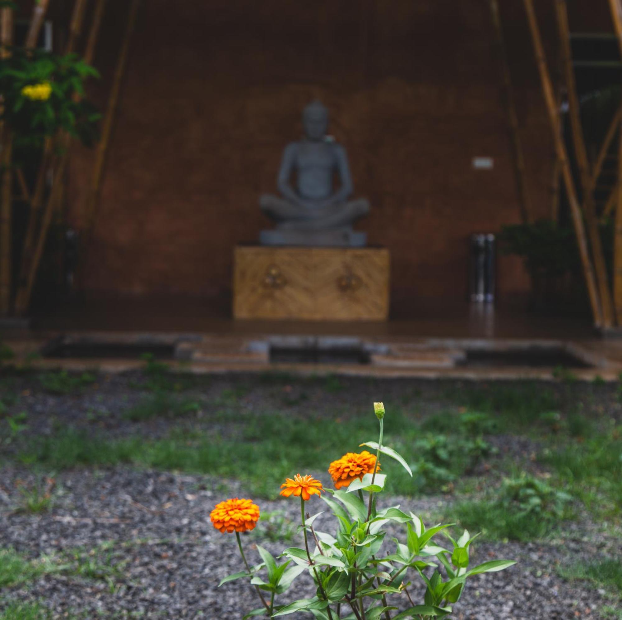 Hanchey Bamboo Resort 캄퐁 참 외부 사진